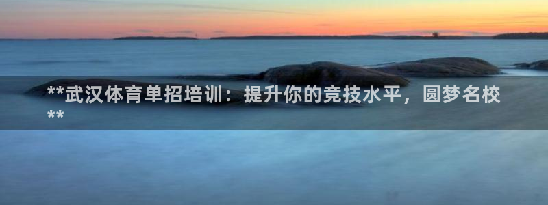 尊龙凯时下载官方正版：**武汉体育单招培训：提升你的