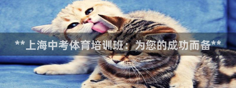 凯时国际app首页下载：**上海中考体育培训班：为您