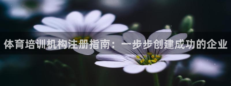 尊龙体育怎么样：体育培训机构注册指南：一步步创建成功
