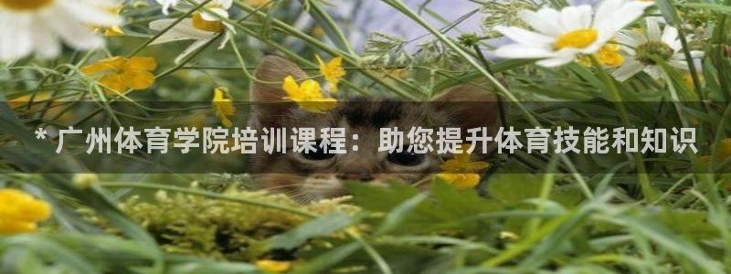 尊龙d88官网登录苹果版下载：* 广州体育学院培训课