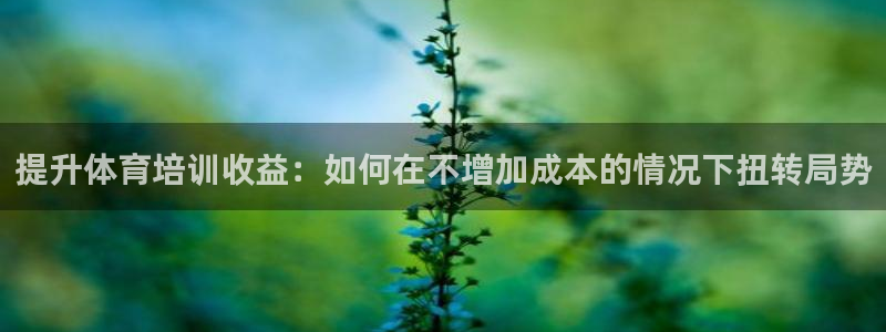 尊龙am i blue：提升体育培训收益：如何在不增