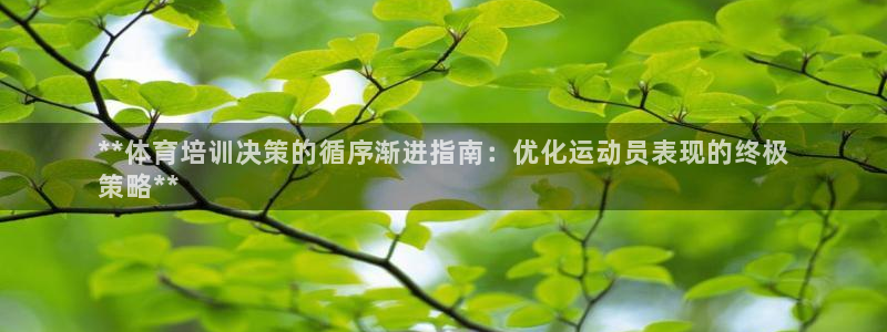 尊龙实业：**体育培训决策的循序渐进指南：优化运动员