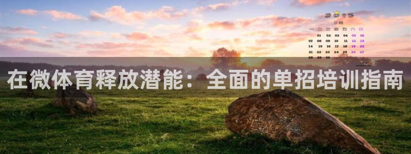 下载尊龙：在微体育释放潜能：全面的单招培训指南