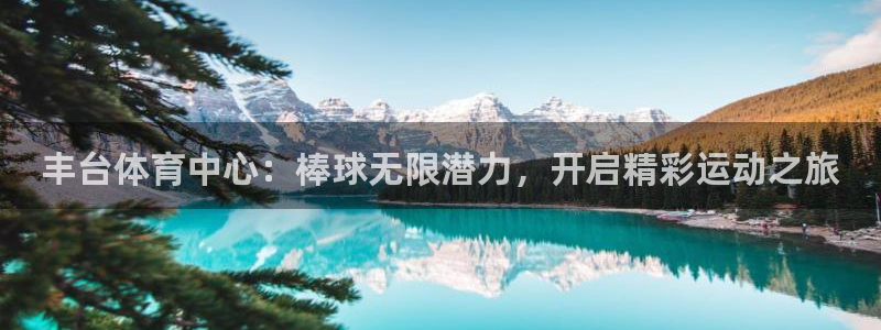 凯时k8娱乐唯一官网：丰台体育中心：棒球无限潜力，开