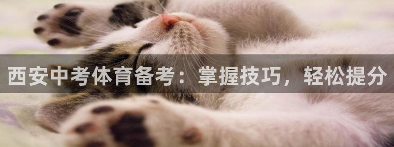 尊龙实业有限公司是正规还是仿：西安中考体育备考：掌握