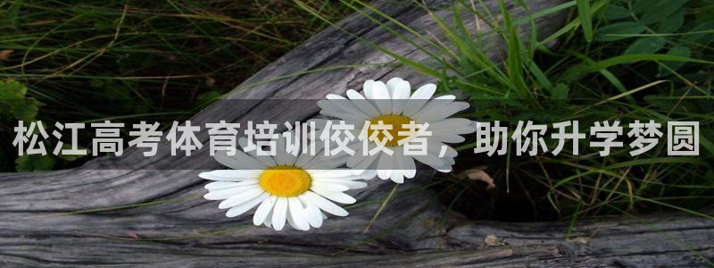 尊龙 10：松江高考体育培训佼佼者，助你升学梦圆