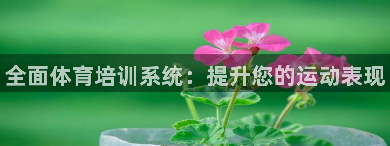 凯时游戏app：全面体育培训系统：提升您的运动表现