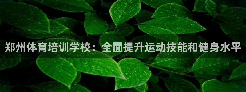 尊龙凯时总部在哪里：郑州体育培训学校：全面提升运动技