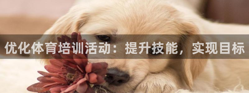 尊龙凯时是大平台吗：优化体育培训活动：提升技能，实现