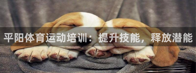 尊龙凯时和九游会哪个平台好一点：平阳体育运动培训：提