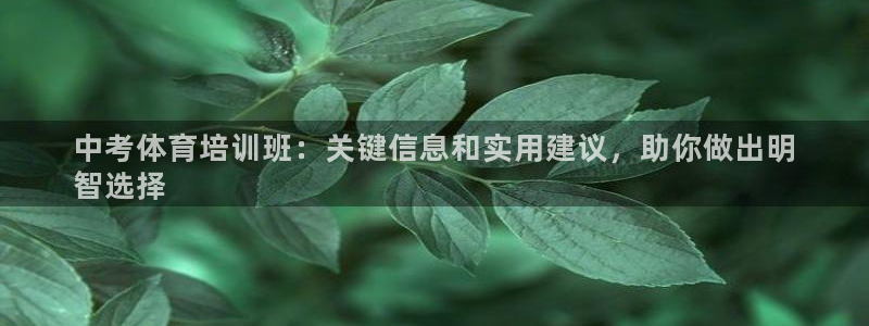 尊龙凯时老板是谁：中考体育培训班：关键信息和实用建议