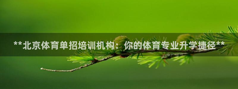 尊龙ag旗舰厅下载：**北京体育单招培训机构：你的体