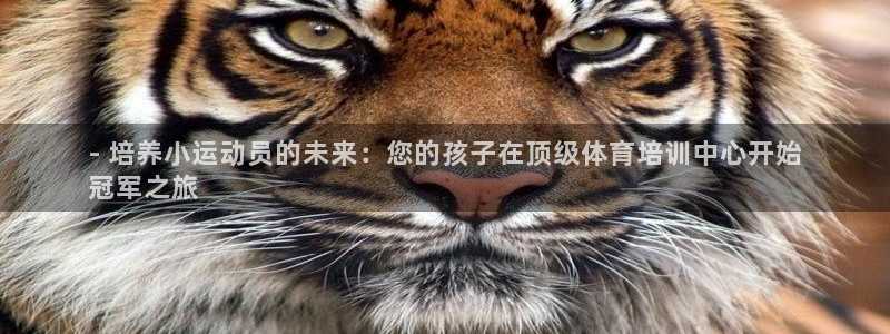 凯时官网app下载官方网站：- 培养小运动员的未来：