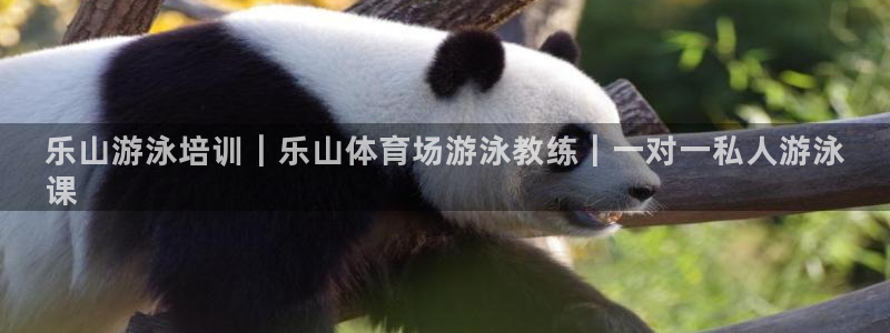 尊龙现金一下S选来就送38：乐山游泳培训｜乐山体育场