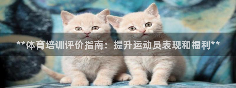 尊龙会：**体育培训评价指南：提升运动员表现和福利*