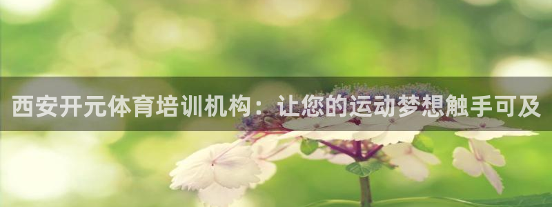 尊龙凯时代理：西安开元体育培训机构：让您的运动梦想触