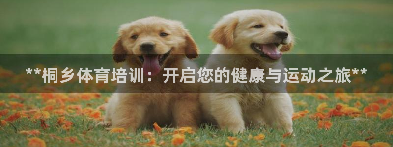 尊龙ag旗舰官网：**桐乡体育培训：开启您的健康与运