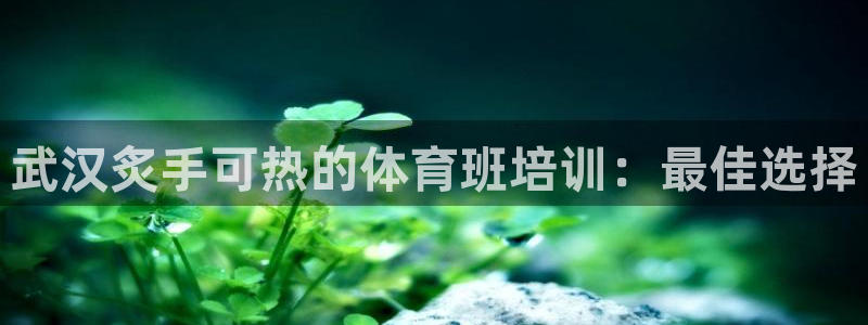 尊龙-人生就是博!：武汉炙手可热的体育班培训：最佳选