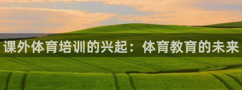 尊龙eight is enough：课外体育培训的兴