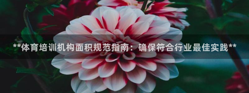 尊龙凯时登入首页：**体育培训机构面积规范指南：确保
