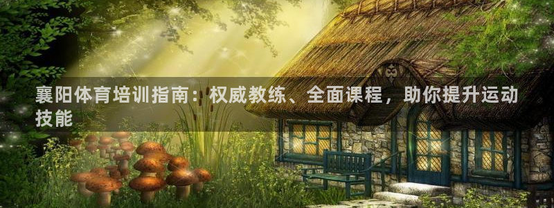 尊龙目前情况：襄阳体育培训指南：权威教练、全面课程，