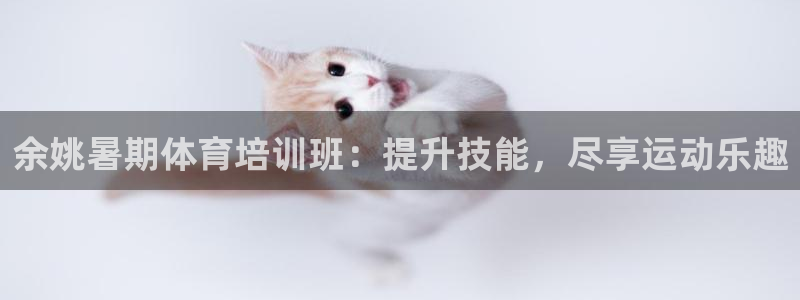 凯时登录首页,凯时K66：余姚暑期体育培训班：提升技