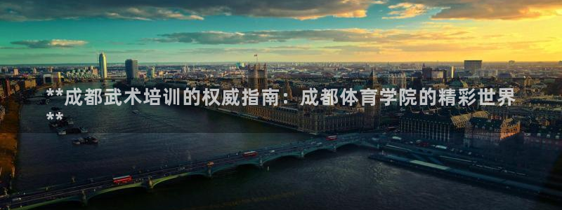 凯时登录界面：**成都武术培训的权威指南：成都体育学