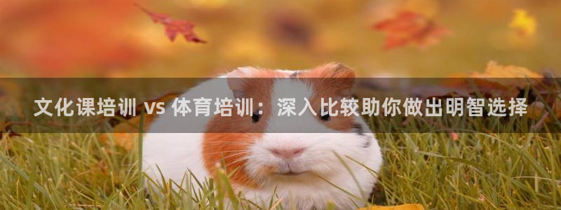尊龙app注册官网：文化课培训 vs 体育培训：深入