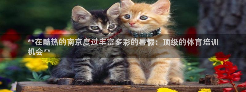 凯时k66会员登录：**在酷热的南京度过丰富多彩的暑