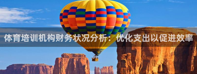 尊龙z6集团：体育培训机构财务状况分析：优化支出以促