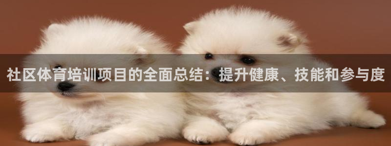 尊龙ag旗舰厅官网登录：社区体育培训项目的全面总结：