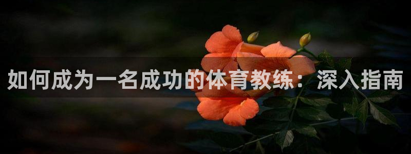 尊龙凯时福米推荐人：如何成为一名成功的体育教练：深入