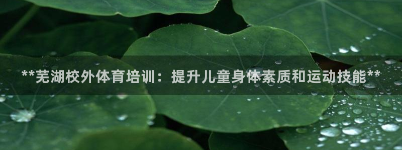 尊龙app下载官网：**芜湖校外体育培训：提升儿童身