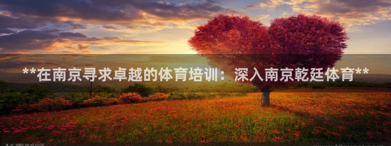 KB88凯时官网登录：**在南京寻求卓越的体育培训：