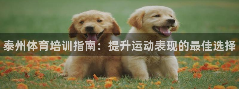 尊龙凯时人生就是博游戏网站：泰州体育培训指南：提升运