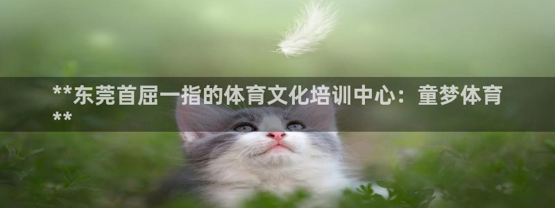 尊龙游戏中心：**东莞首屈一指的体育文化培训中心：童