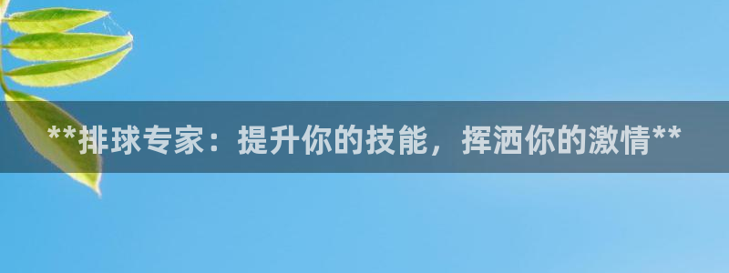 尊龙网址是选访问zd207：**排球专家：提升你的技