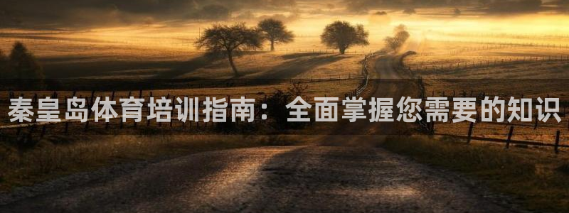 尊龙人生就是搏：秦皇岛体育培训指南：全面掌握您需要的