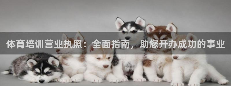 尊龙凯时人生就是搏首页：体育培训营业执照：全面指南，