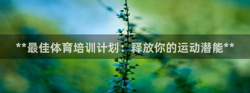 尊龙d88ag官方网站：**最佳体育培训计划：释放你