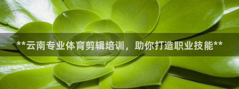 尊龙app怎么样：**云南专业体育剪辑培训，助你打造