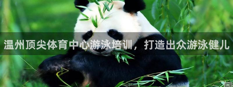 尊龙z6官网ag：温州顶尖体育中心游泳培训，打造出众