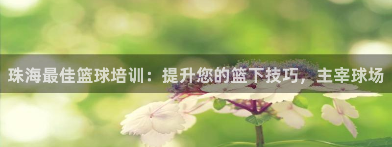 ag尊龙凯时集团：珠海最佳篮球培训：提升您的篮下技巧