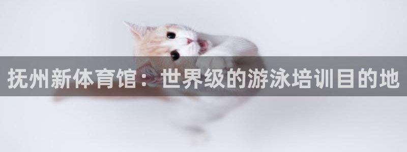 凯时官网：抚州新体育馆：世界级的游泳培训目的地