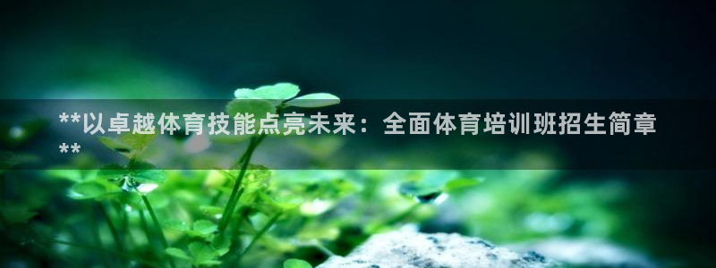 尊龙人生手机版：**以卓越体育技能点亮未来：全面体育