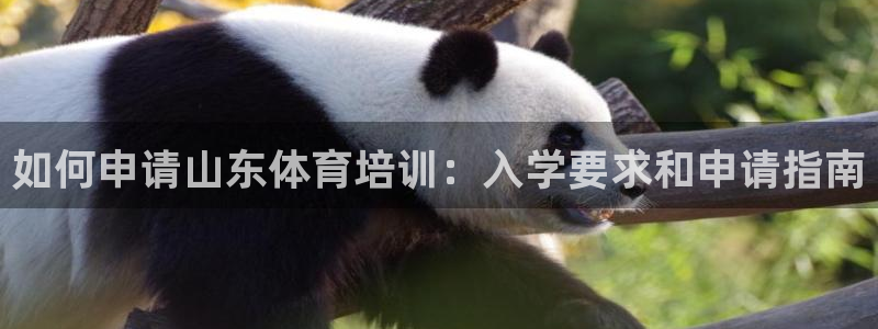 尊龙人生就是博管网：如何申请山东体育培训：入学要求和