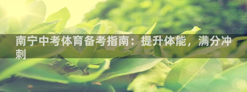 尊龙手机端下载：南宁中考体育备考指南：提升体能，满分