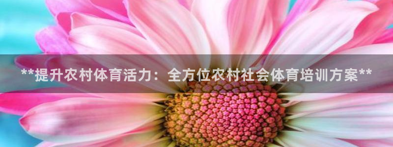 尊龙凯时怎么注销账号：**提升农村体育活力：全方位农