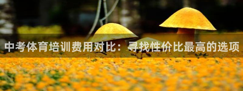尊龙凯时开发：中考体育培训费用对比：寻找性价比最高的