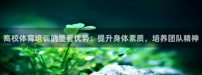 尊龙凯时网娱乐最新版：高校体育培训的显著优势：提升身